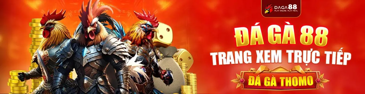 Trải nghiệm đá gà trực tuyến sống động tại km3888b App